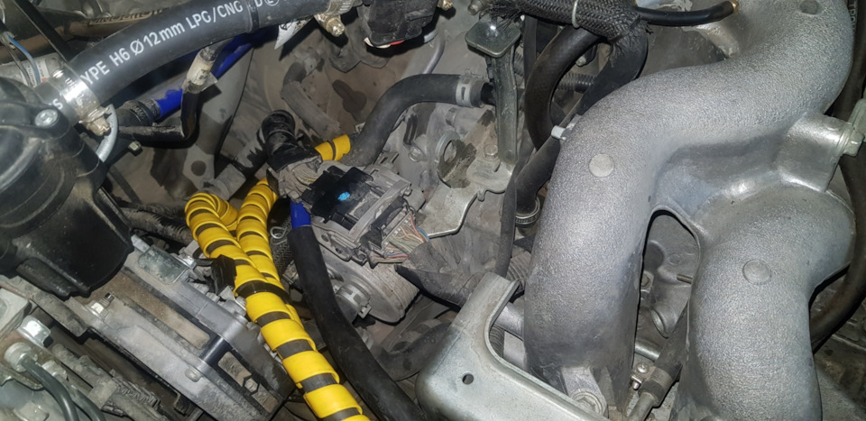 Фото в бортжурнале Subaru Forester (SH)