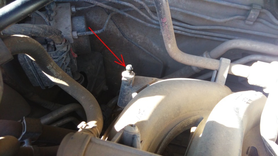 Фото в бортжурнале Volkswagen Polo Sedan