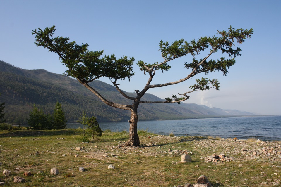 Фото в бортжурнале Mitsubishi Pajero Sport (2G)