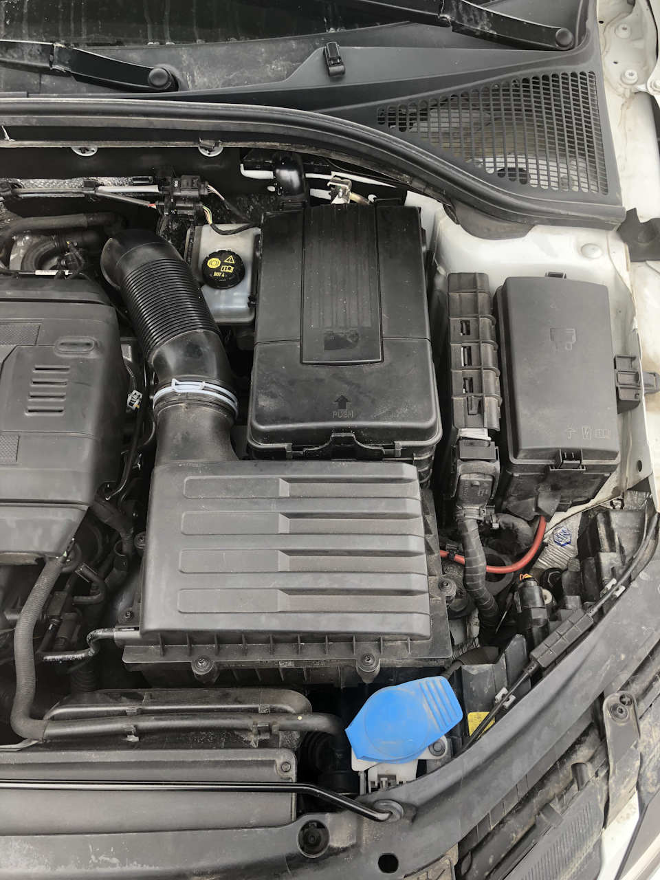 Фото в бортжурнале Skoda Octavia A7 Mk3