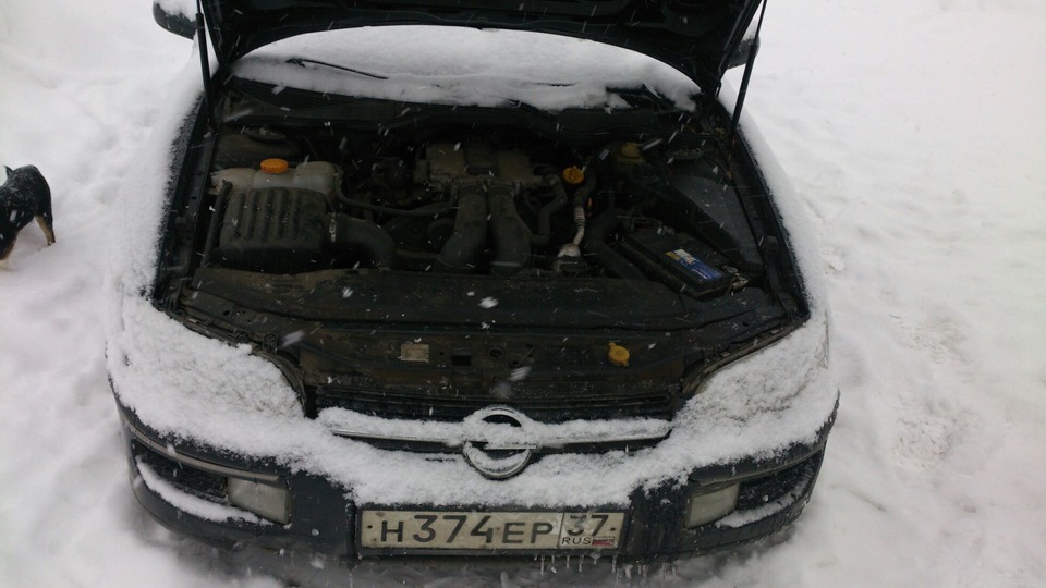 Кто какое масло льет в омежку — Opel Omega B, 2,5 л, 1996 года ...