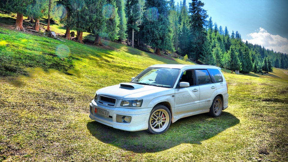 Forester drive2