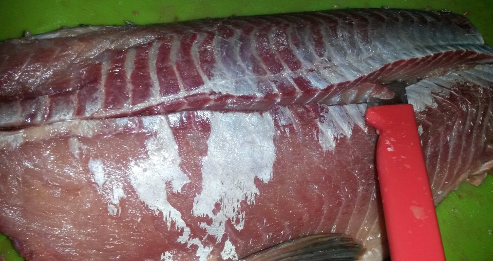 рыба хе рецепт приготовления в домашних условиях сазан. Смотреть фото рыба хе рецепт приготовления в домашних условиях сазан. Смотреть картинку рыба хе рецепт приготовления в домашних условиях сазан. Картинка про рыба хе рецепт приготовления в домашних условиях сазан. Фото рыба хе рецепт приготовления в домашних условиях сазан рыба хе рецепт приготовления в домашних условиях сазан. Смотреть фото рыба хе рецепт приготовления в домашних условиях сазан. Смотреть картинку рыба хе рецепт приготовления в домашних условиях сазан. Картинка про рыба хе рецепт приготовления в домашних условиях сазан. Фото рыба хе рецепт приготовления в домашних условиях сазан