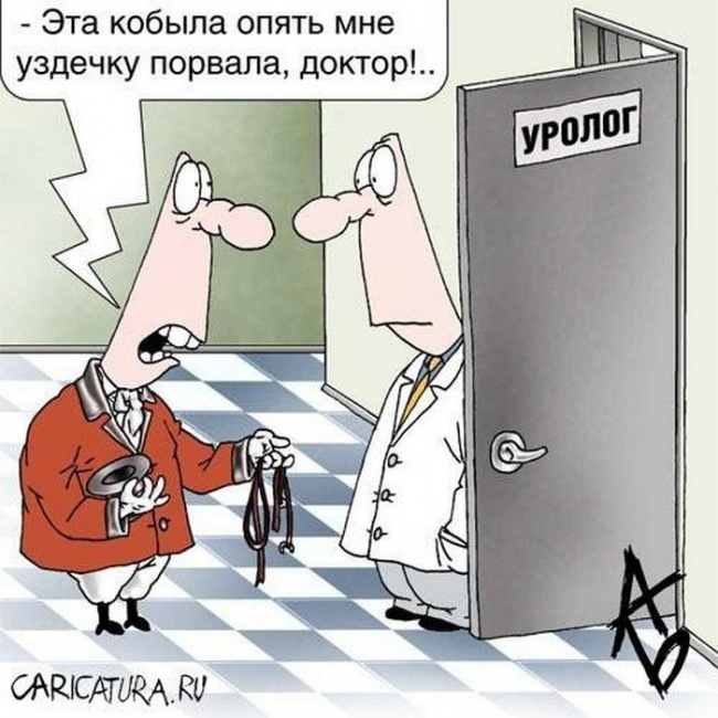 День уролога: история праздника, как отмечают в россии?
