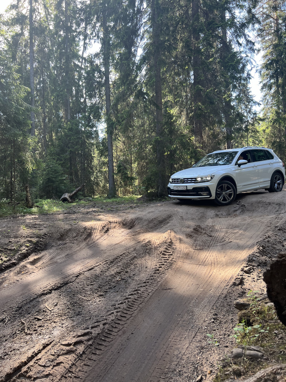 Ладога — Volkswagen Tiguan (2G), 2 л, 2018 года | путешествие | DRIVE2