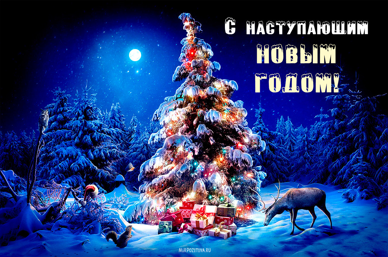 Поздравления с новом годом.фото фото 492