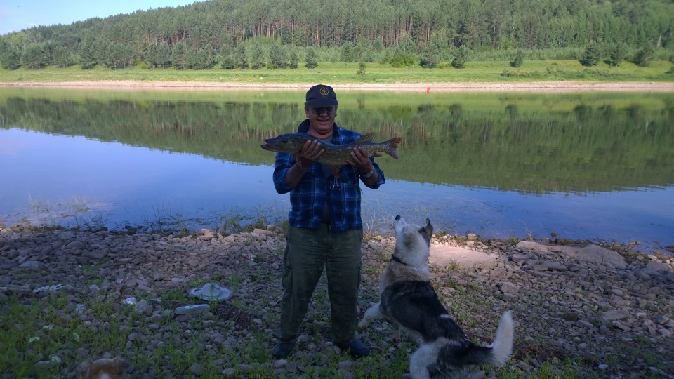 рыбалка на щуку — УАЗ 452, 1992 года | другое | DRIVE2