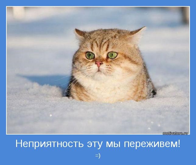 Неприятность=( — Ford Cougar, 2 л, 1999 года | своими руками | DRIVE2