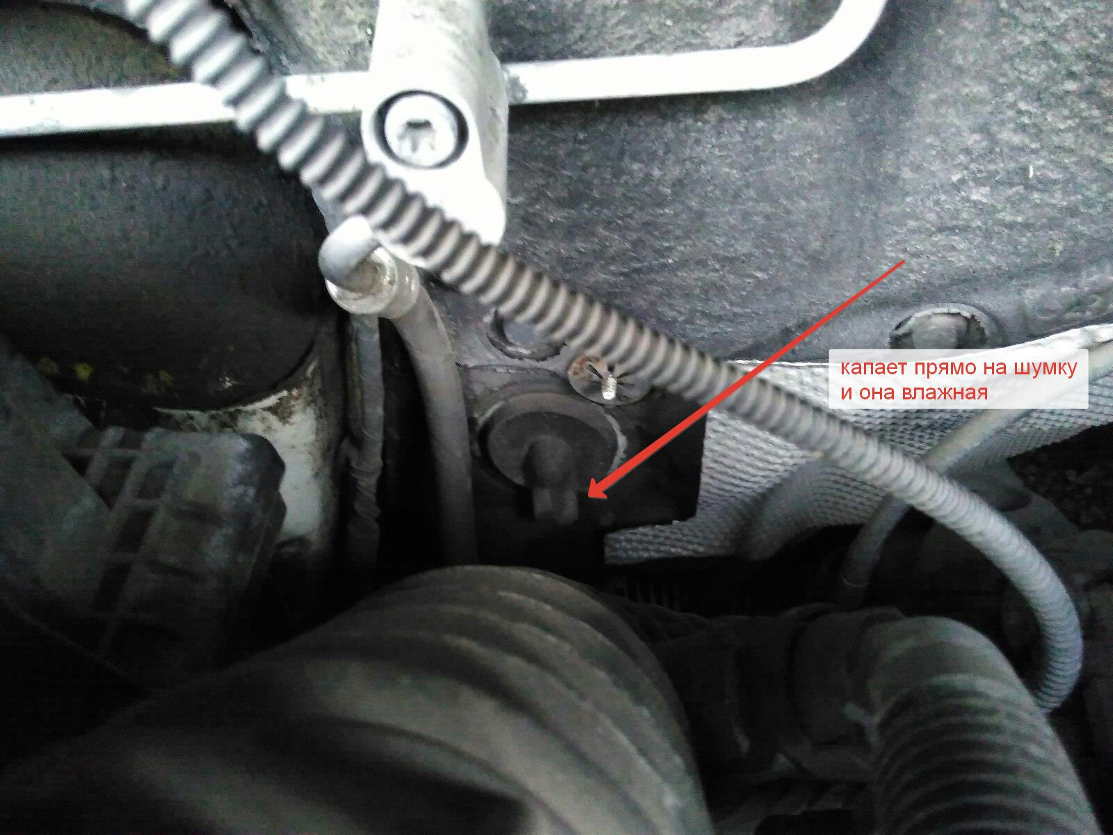 капает конденсат. трубка конденсата кондиционера приора. отогрев выхлопной системы. капает конденсат. подтекает кондиционер.