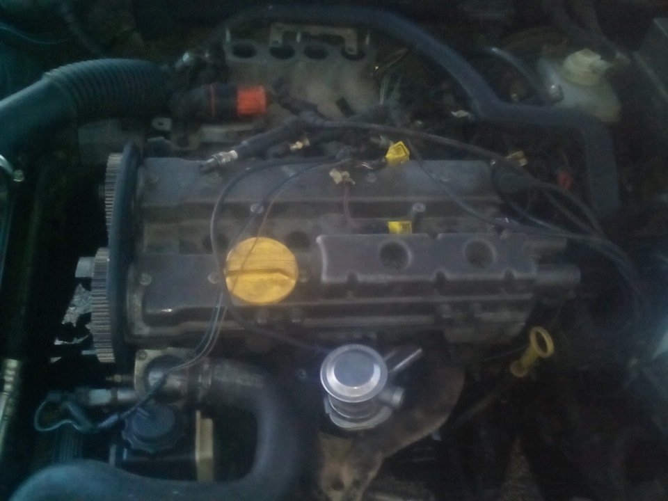 Собираем x16xel — Opel Vectra B, 1,6 л, 1998 года | своими руками | DRIVE2