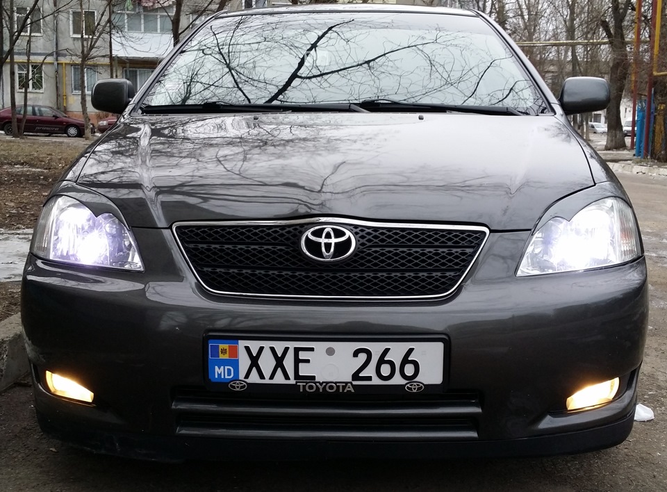 реснички тойота. реснички на фары тойота королла 150. реснички тойота. реснички на фары тойота сиента. реснички на фары королла 150.