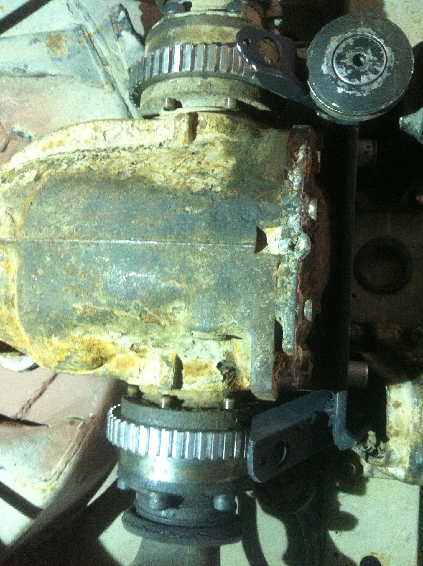 c3669f9s-1920.jpg
