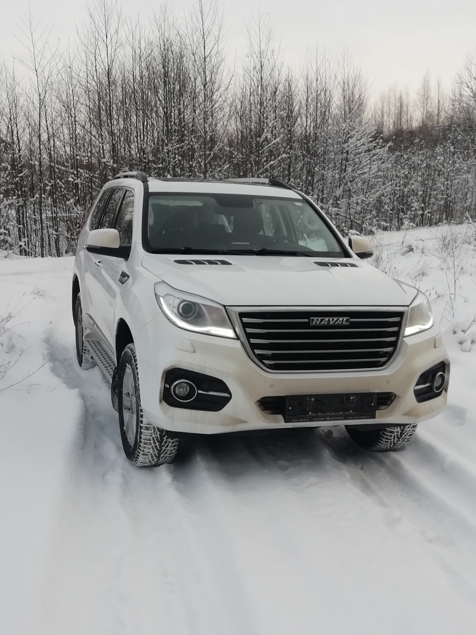 Большой новый Белый — Haval H9, 2 л, 2020 года | покупка машины | DRIVE2