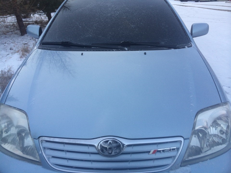 Шильдик TRD — Toyota Corolla (120), 1,6 л, 2005 года | тюнинг | DRIVE2