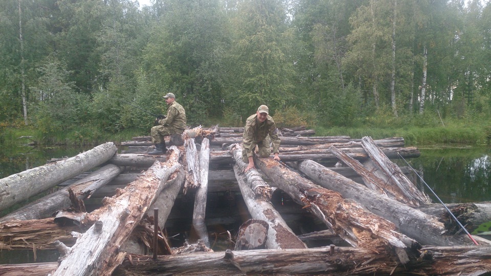 Волома теплый поселок