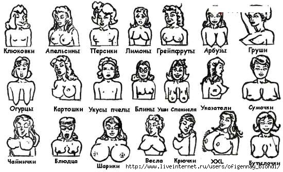 Порно фигура груша - фото секс и порно lys-cosmetics.ru