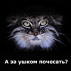 чем обработать защиту картера чтобы не ржавела. Смотреть фото чем обработать защиту картера чтобы не ржавела. Смотреть картинку чем обработать защиту картера чтобы не ржавела. Картинка про чем обработать защиту картера чтобы не ржавела. Фото чем обработать защиту картера чтобы не ржавела