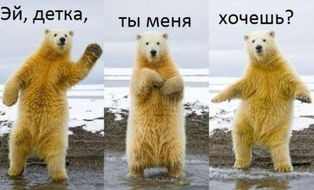 Я хочу тебя детка мем