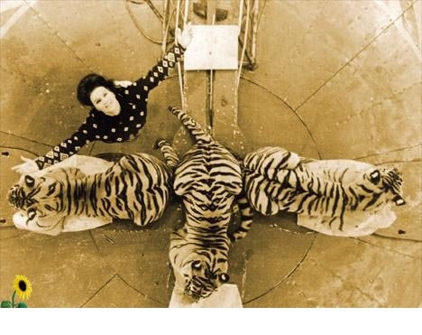 90 лет .актрисе цирка, и кино, дрессировщице тигров, Маргарите Петровне Назарово