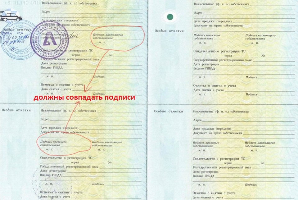 Прикольные картинки, в картинках птс