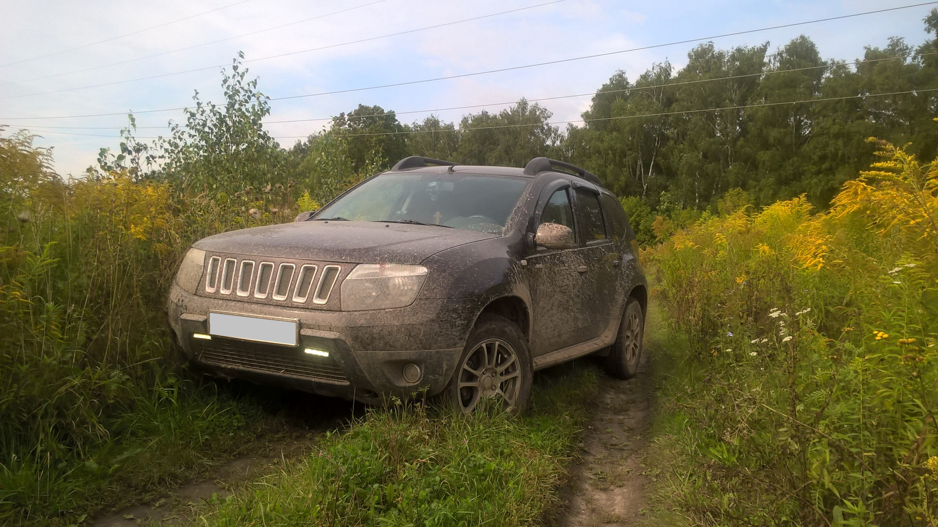 Renault Duster (1G) 2.0 бензиновый 2014 | 4*4 Темный каштан на DRIVE2