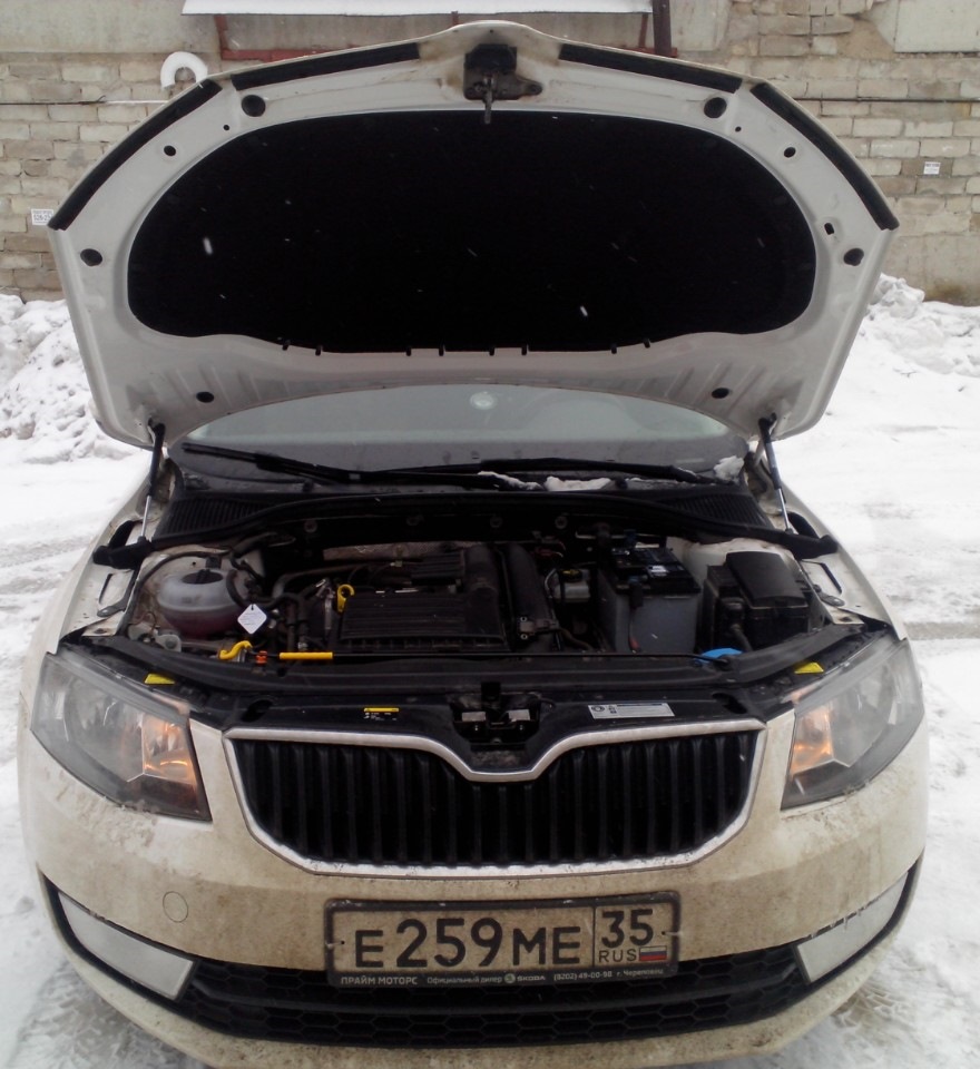 Шумка капота — Skoda Octavia A7 Mk3, 1,2 л, 2014 года | аксессуары | DRIVE2