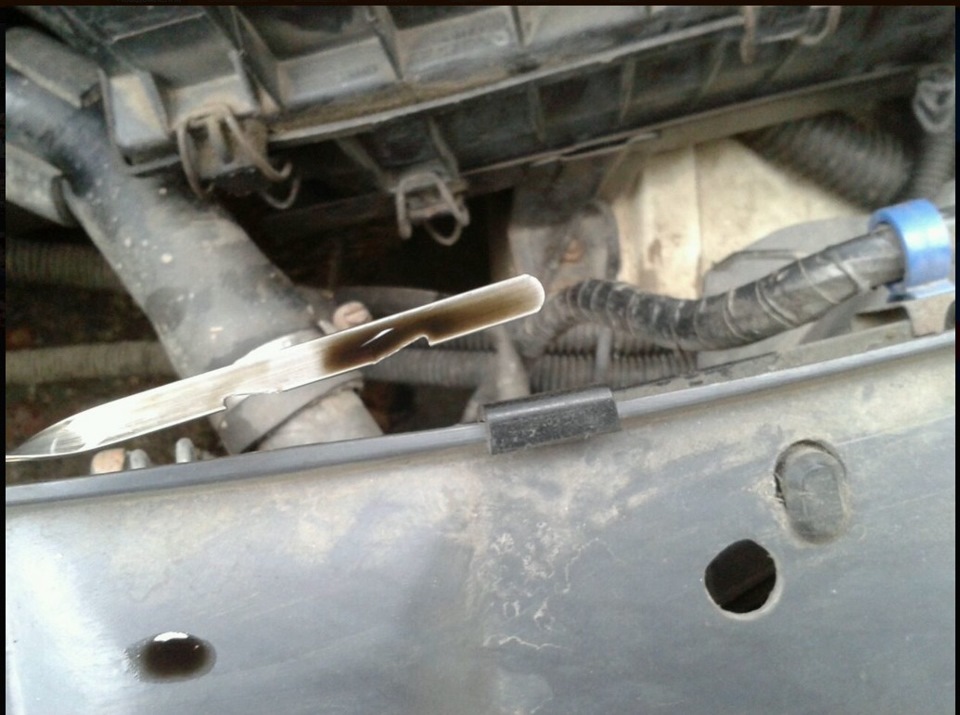 Масло на щупе — DRIVE2