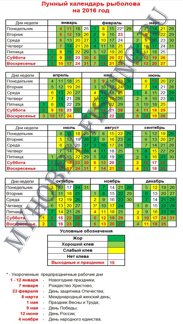 Календарь рыбака фото
