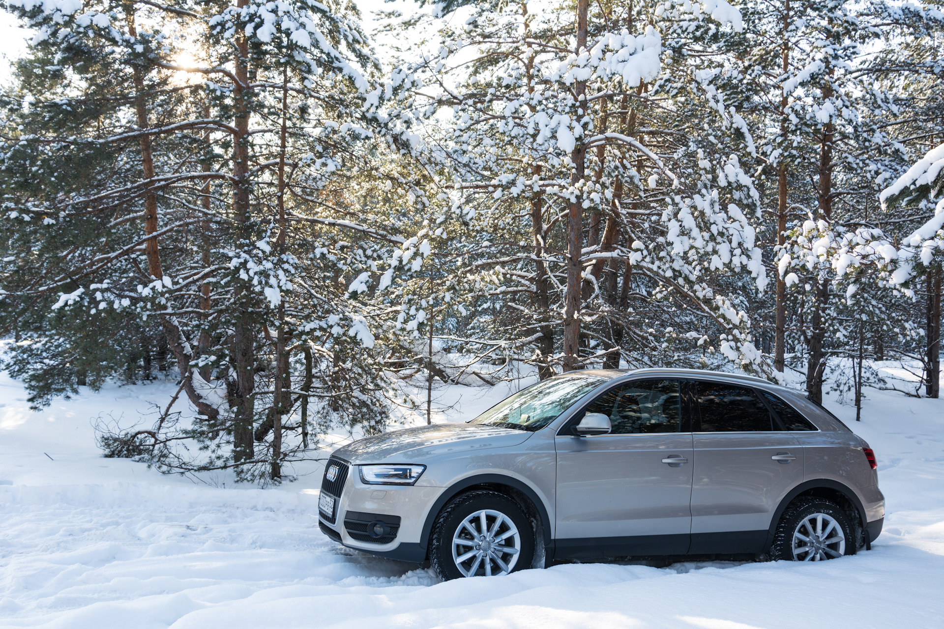 Зимний кроссовер. Тигуан зимой в лесу. Кроссовер зимой. Audi q7 в зимнем лесу. Фотосессия Ауди в лесу зима.