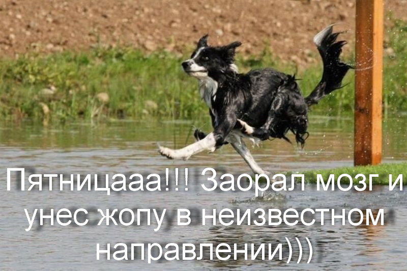 Открытки для, картинки домой с работы в пятницу
