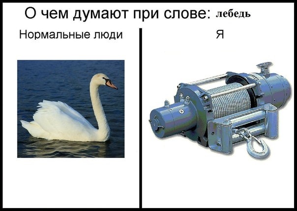 Думаю нормально