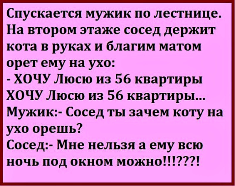 Мужик сосед. Соседи орут матом. Закричать благим матом. Благой мат. Ругаться благим матом.