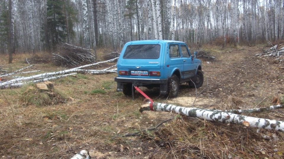 Автомобиль лесник фото