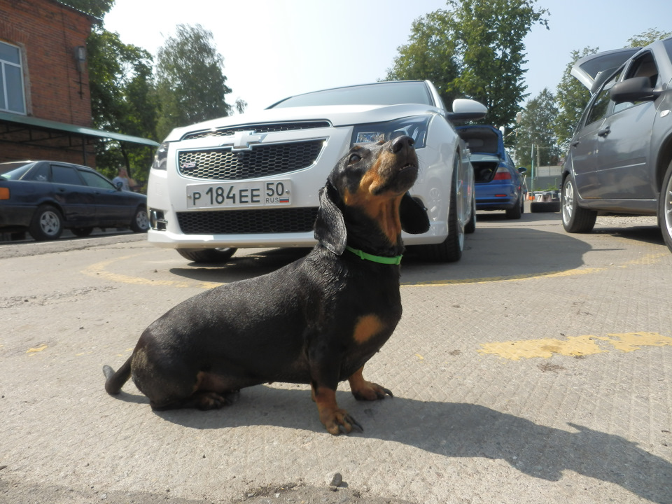 Фото в бортжурнале Chevrolet Cruze (1G)