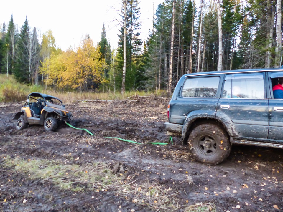 Таловские чаши-2014. Часть 2 — Toyota Land Cruiser 80, 4,2 л, 1997 года ...