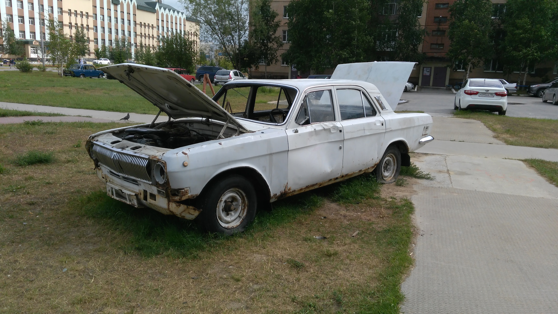 брошенные автомобили в санкт петербурге