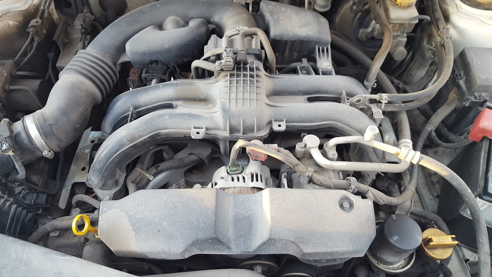 Фото в бортжурнале Subaru Forester (SH)