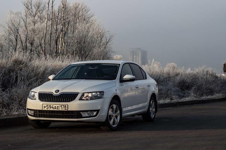 p1292 skoda octavia