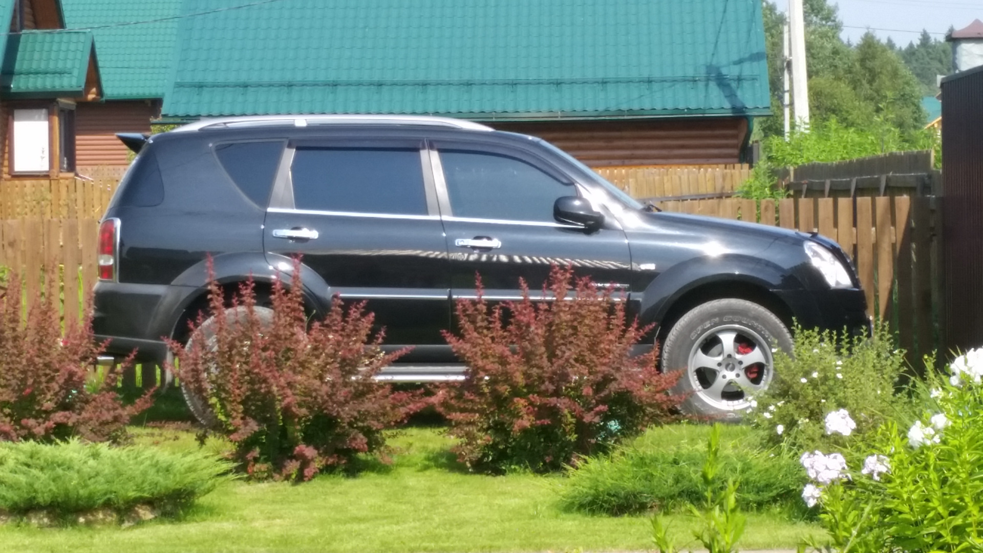 Rexton xvt