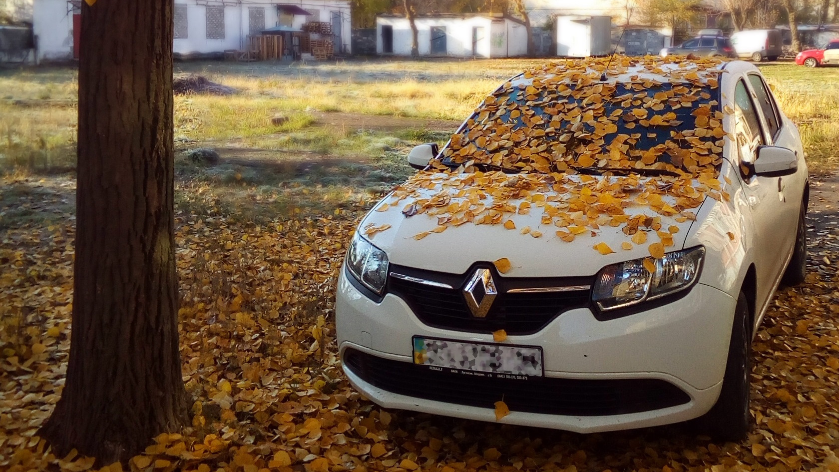 Рено коджар фото Renault Logan (2G) 1.2 бензиновый 2013 1.2 16V +LPG на DRIVE2