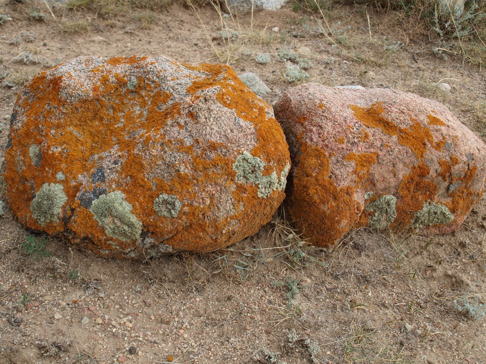 Музей ледниковых камней в киржаче фото