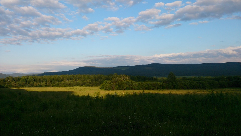 В лес, по грибы да по ягоды) — Skoda Octavia A5 Mk2, 1,6 л, 2013 года ...