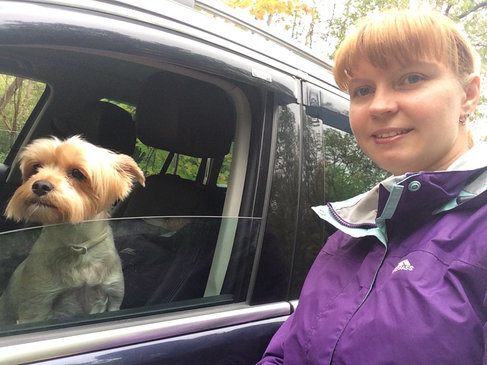 Свежие фото)) — Volkswagen Tiguan (1G), 2 л, 2012 года | фотография ...