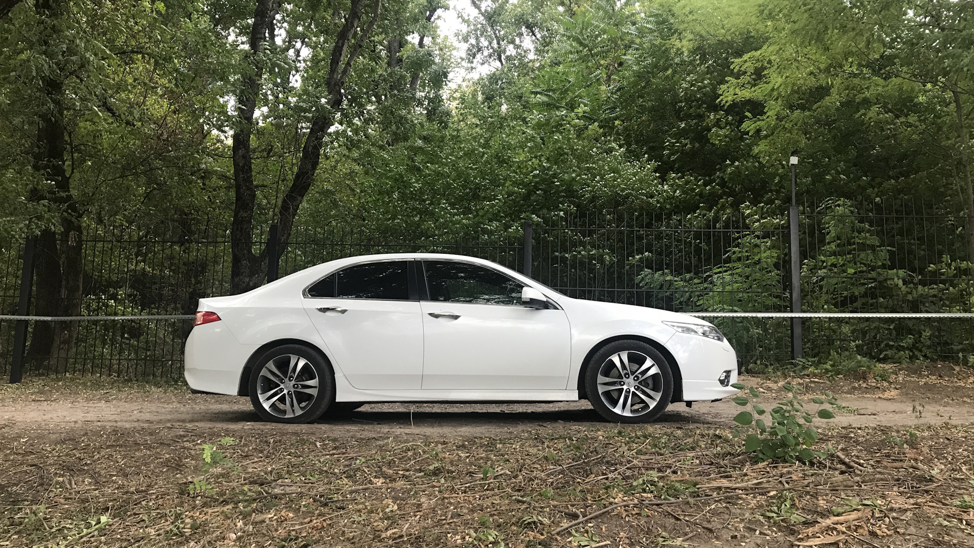 Honda Accord (8G) 2.4 бензиновый 2012 | 8 TypeS White Dream на DRIVE2