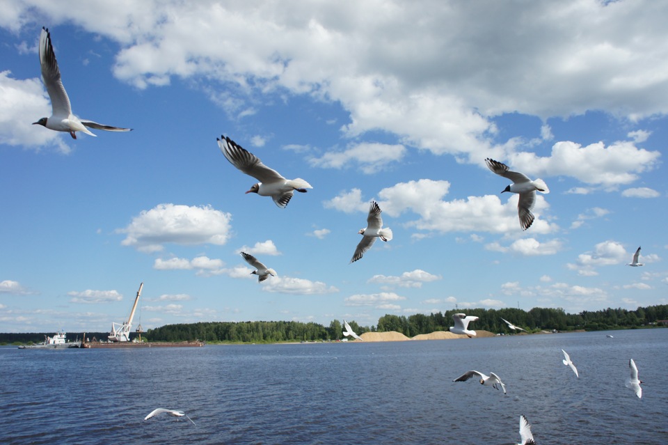 Поездка в Калязин, Углич и Мышкин 4 — DRIVE2