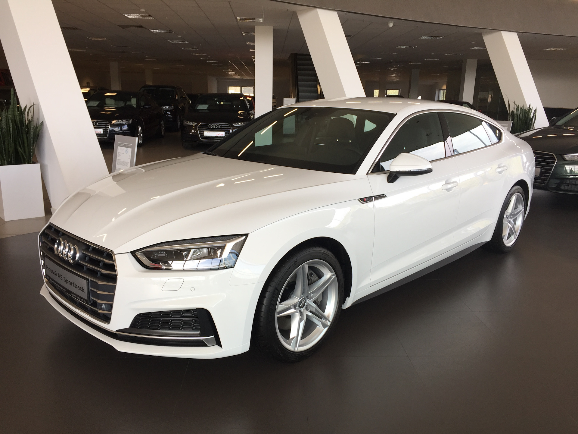 Audi a5 sportback картинки