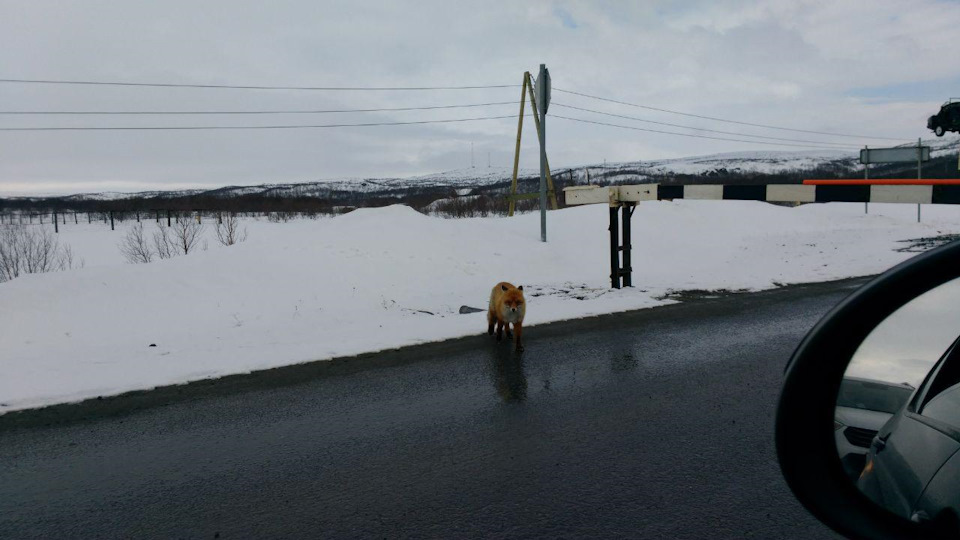 В норвегию через финляндию на авто