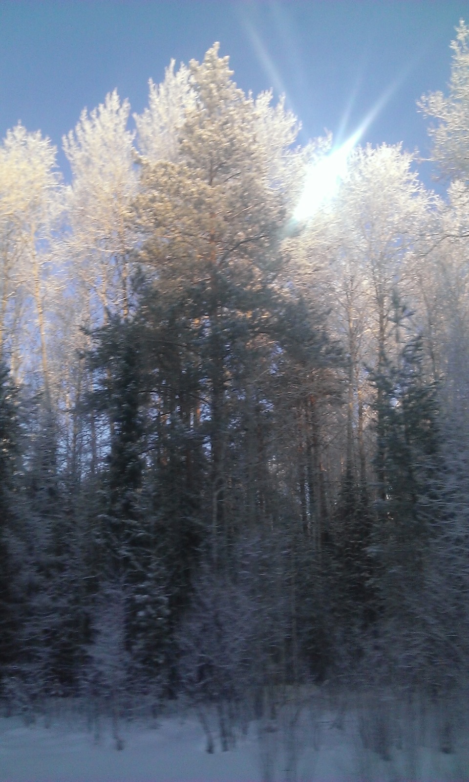 Урал лес зимой