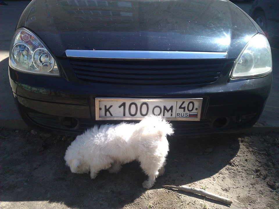 Замена решетки радиатора — LADA Приора хэтчбек, 1,6 л., 2009 года ...