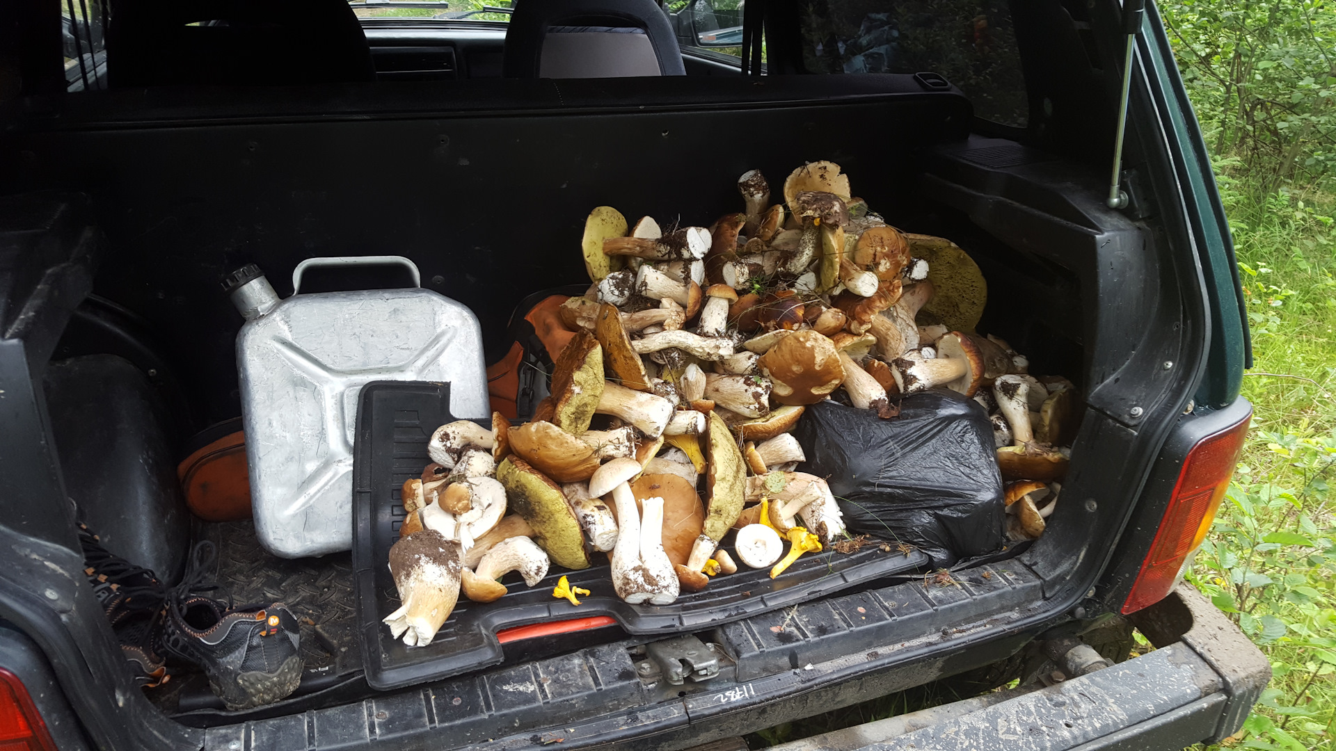 Полный багажник грибов ВАЗ 2114